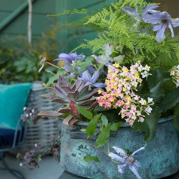 At Home with the Author of The Plant Recipe Book