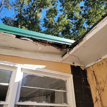 Termite Damage Is at it Again