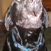 Susan Denison's photo