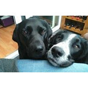Vikki Yates's photo