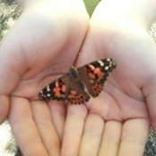 Sheri Stinnett's photo