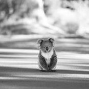 KrisAnn Kokes's photo