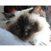 Debra Ryan-Page's photo