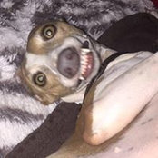 Aimee Gee's photo