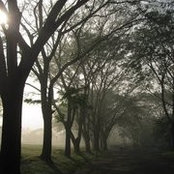 Christian Ang's photo
