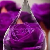 Amy Ayers Quintero's photo