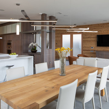 Playa del Rey Residence