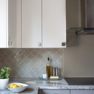 New Contemporary Remodel