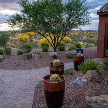 A Stroll through a Tucson Neighborhood