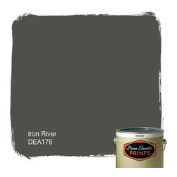 Dunn-Edwards Paint Iron River DEA176 - Paint