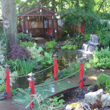 Pond Paradise Designs assorted photos