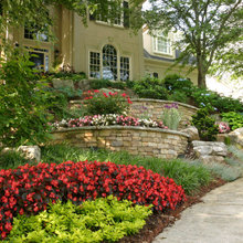 Landscape Ideas