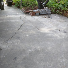 Ellen's renovated backyard space