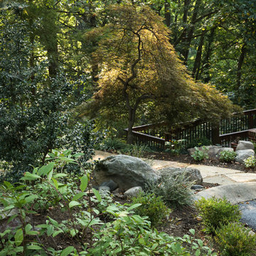 Hillside Urban Garden