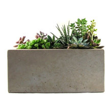 Patio Ideas