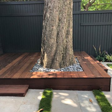 Kids Garden in a Shady Backyard