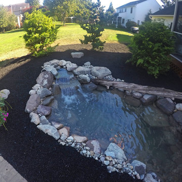 Small Backyard Pond