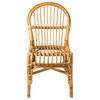 East at Main Troy Rattan Dining Chair (Set of 2)
