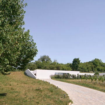 Haus im Weinberg
