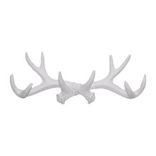 Misc antler