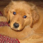 April Krisher Pettit's photo