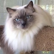 Wendy Dean's photo