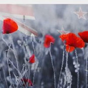 Foto von Lesley Dye