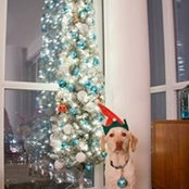 Greg Rothenberg's photo