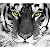Tanya Malys's photo