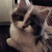 Heather Baxter's photo