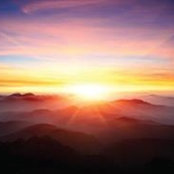 Tanya Dee's photo