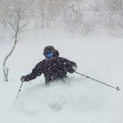 Andy Laidlaw's photo