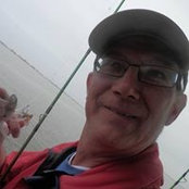 Don Haugs billede