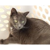 William Croker's photo