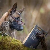 Julio Benitez's photo