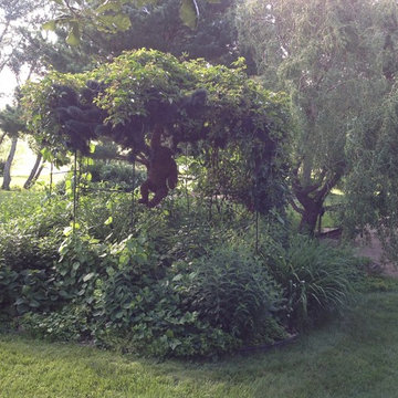 Rick's Incredible Outdoor Spaces