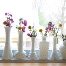 Different white vase - elegant