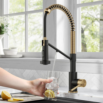 Bolden Commercial Style 2-Function Pull-Down 1-Handle 1-Hole Kitchen Faucet, Brushed Brass/ Matte Black (Filter Kitchen Faucet)