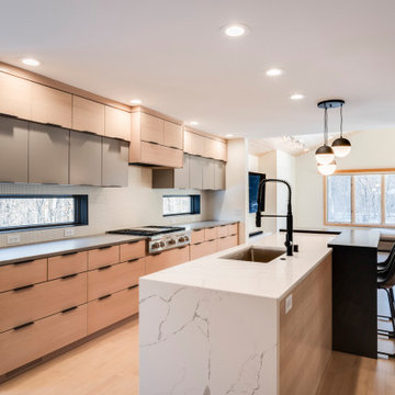 Minimalist Modern Kitchen