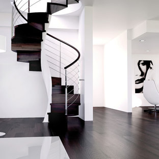 Imagen de escalera de caracol, contemporánea, grande, con escalones de madera y contrahuellas de madera