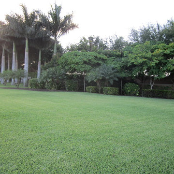 Cutting Edge Landscapes