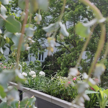 Terrasse in Courtyard Berlin