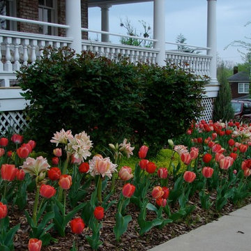 Project Spring Surprise