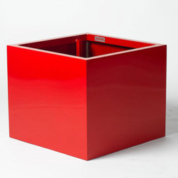 Bison Cube Planters (Red) - Products