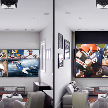 Magnolia Home Theater Projects