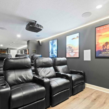 Basement/Theater Remodel
