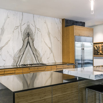 MidCentury Modern Open Concept Kitchen and Living Room