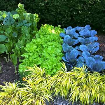 Zen Vegetable Garden