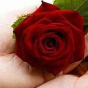 Ritesh Kamal's photo