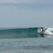 David Guidero's photo